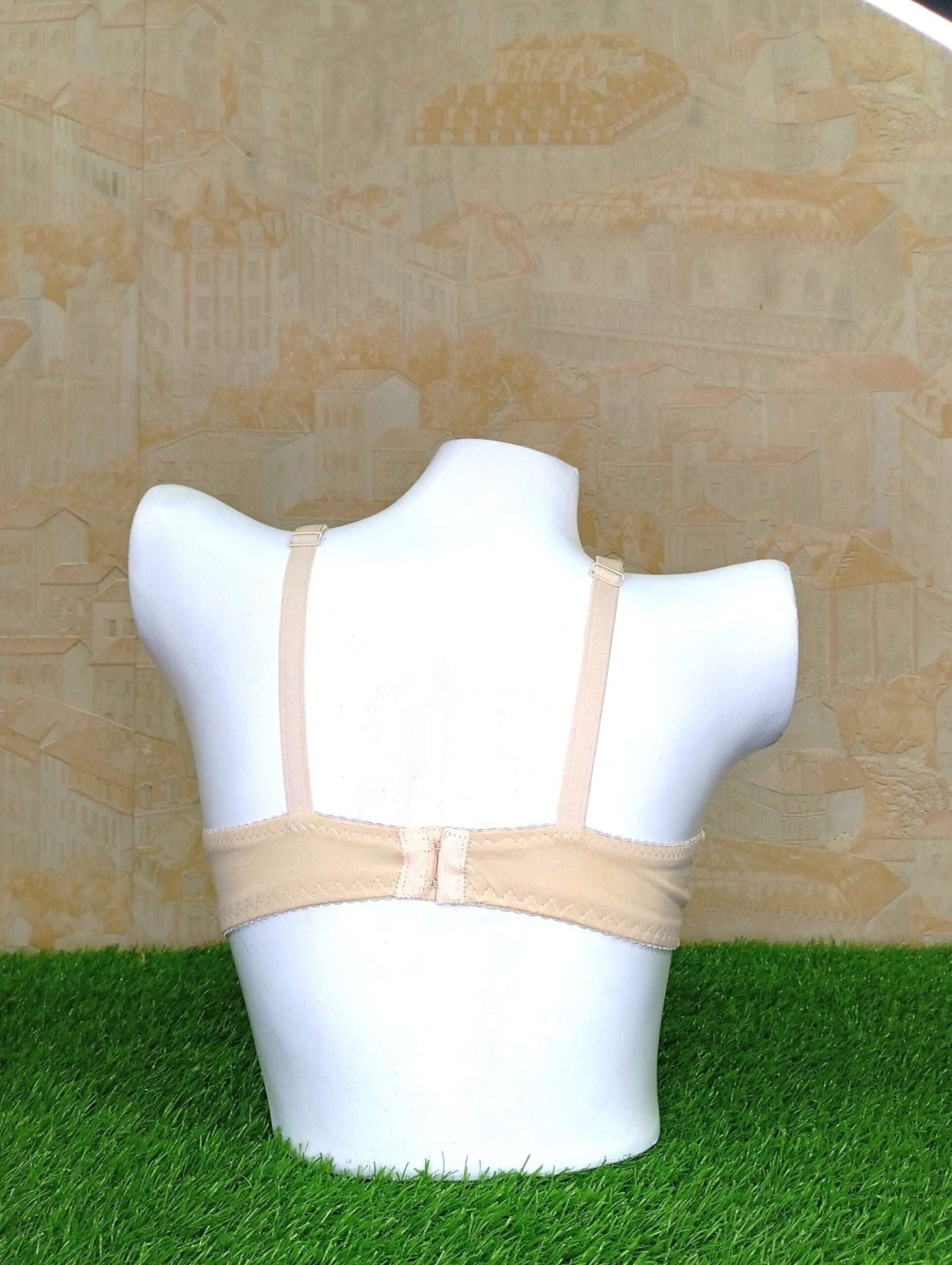 Premium Wild Peach Elegant Non-Padded Bra - Comfortable & Chic Lingerie-Back