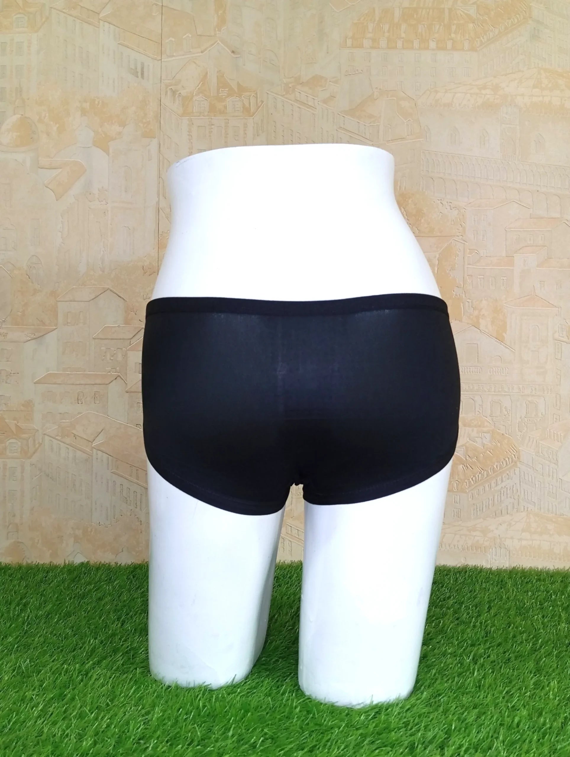 Lace Elegance Panty Back