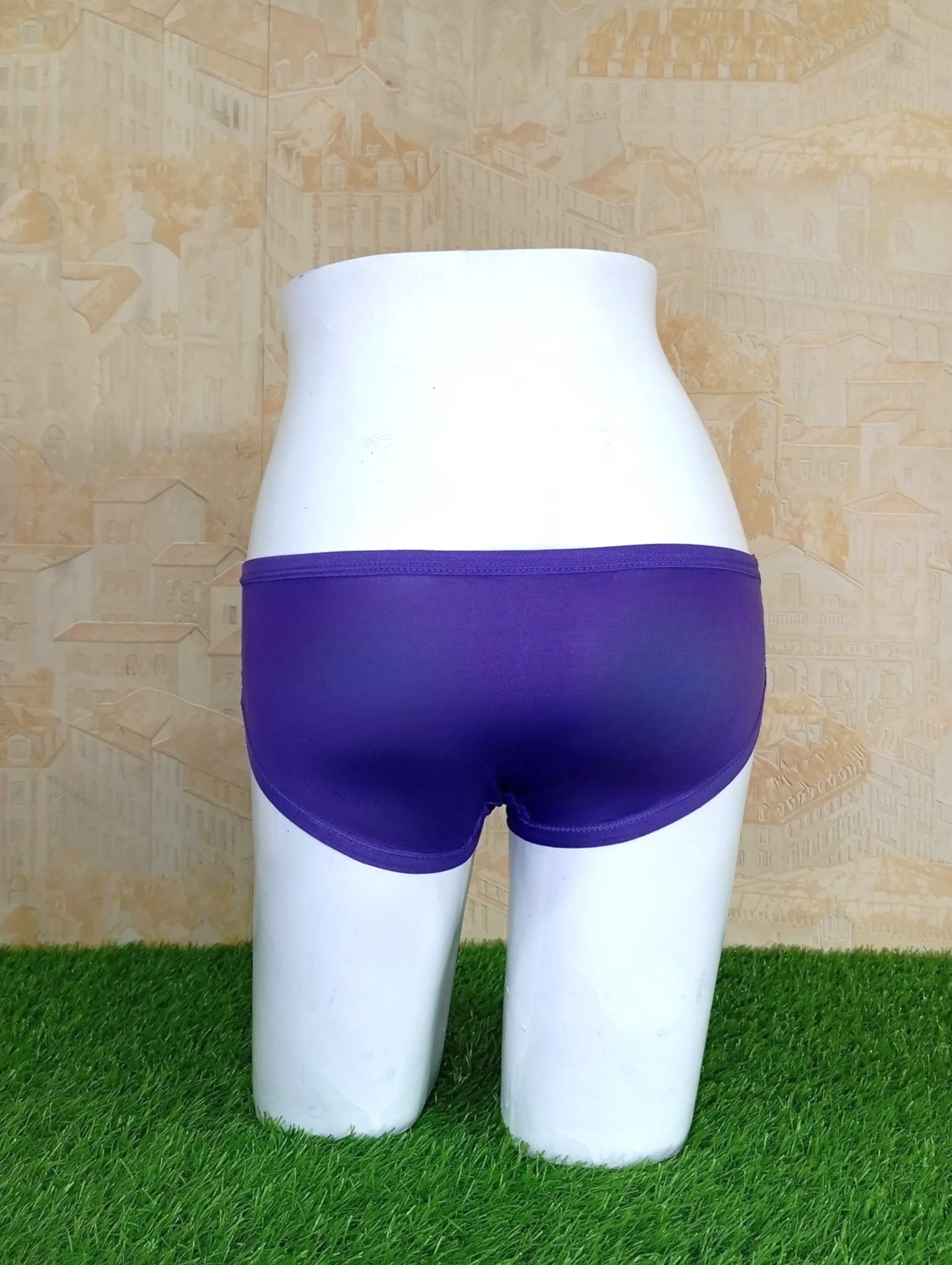 Blue Half Net Front Ladies Underwear Stylish, Soft & Comfortable-Back