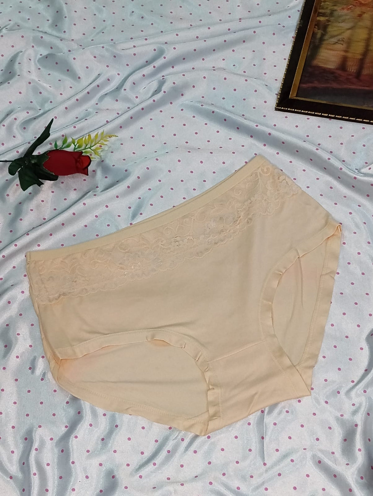 Soft Lace Trim High-Waist Panty – Peach